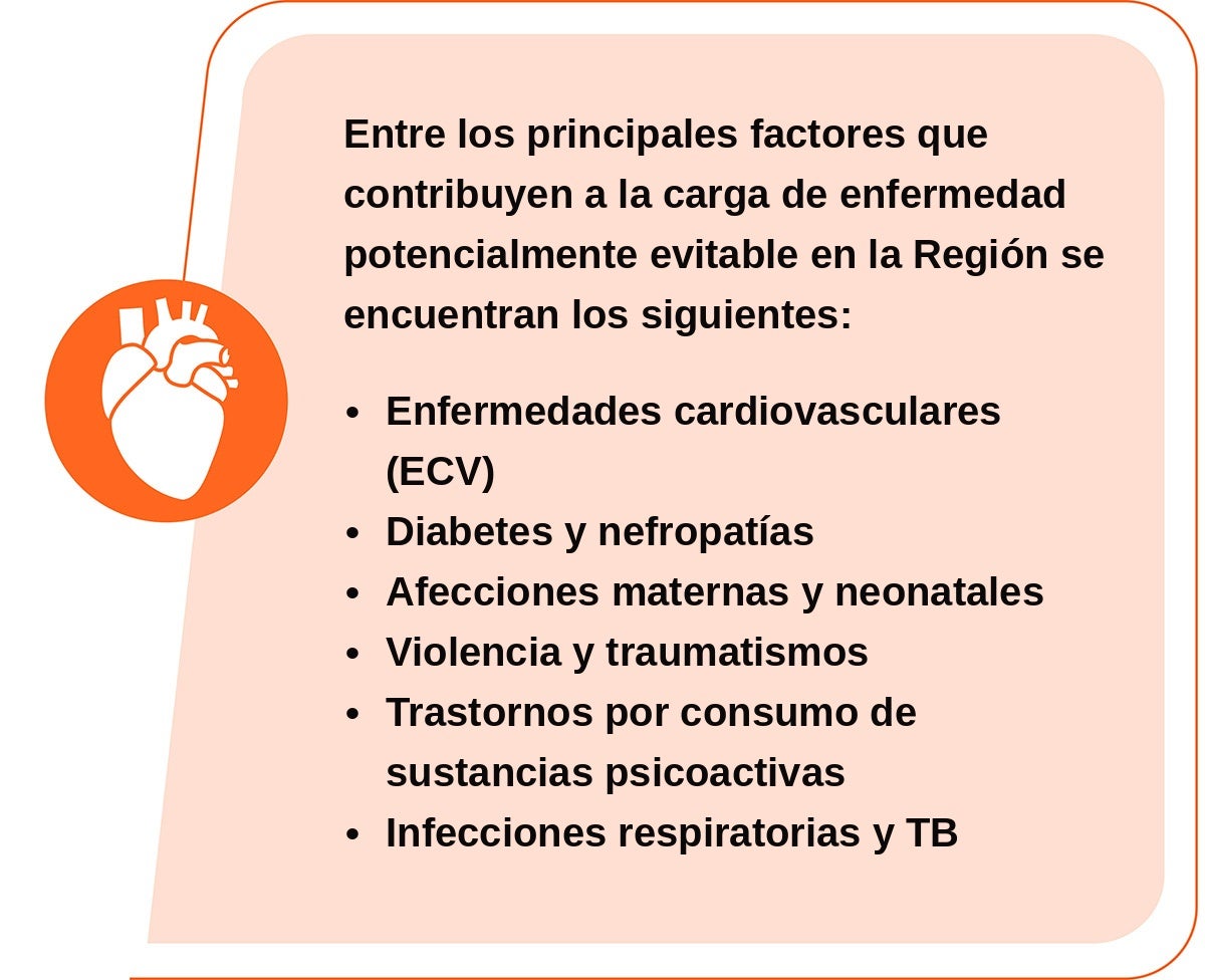 principales factores que contribuyen a la carga de enfermedad evitable