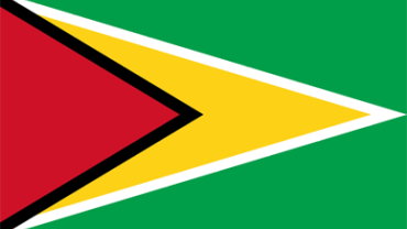 Flag of Guyana