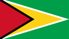 Flag of Guyana